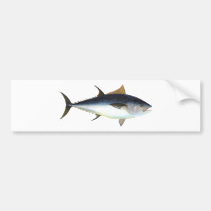 Bluefintonfisk Bildekal
