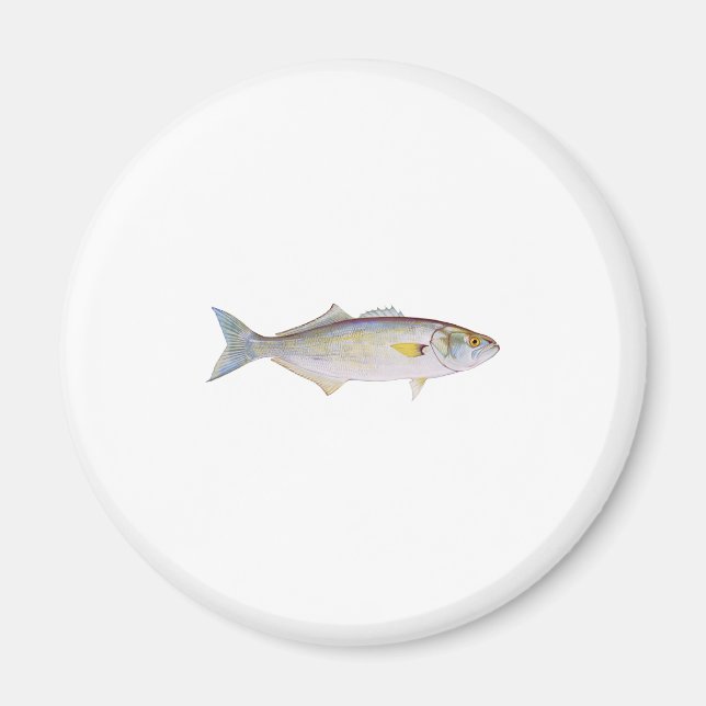 Bluefish Magnet (Framsidan)