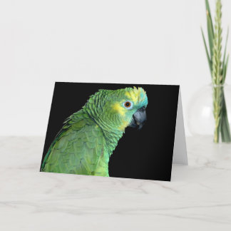 Bluefront Amazon Parrot Notecard Kort
