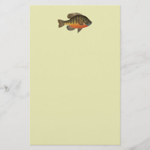 Bluegill Bream Brevpapper