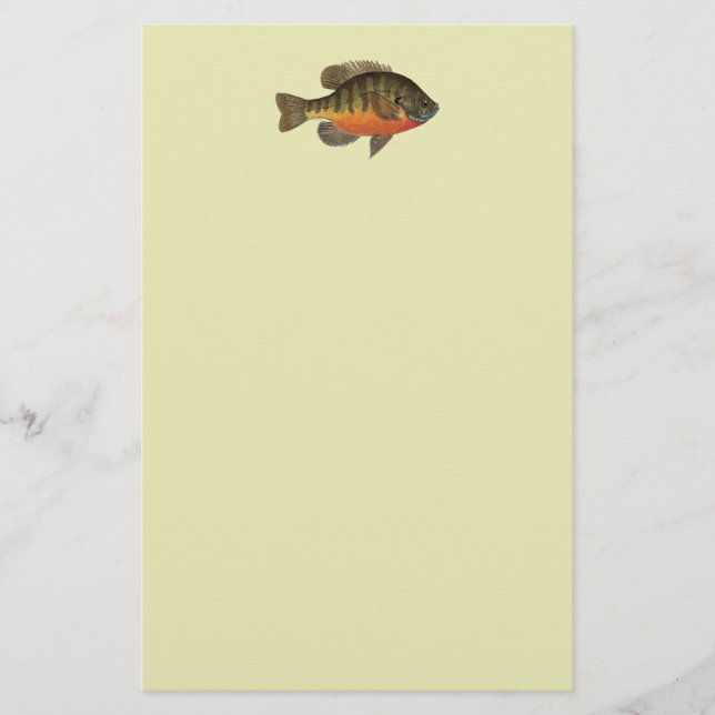 Bluegill Bream Brevpapper (Framsida)