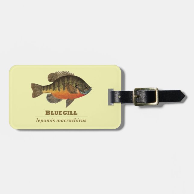 Bluegill Bream Fishing Bagagebricka (Horisontell Framsida)
