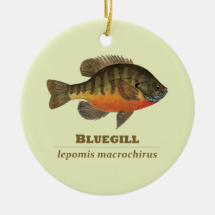 Bluegill Bream Fishing Julgransprydnad Keramik