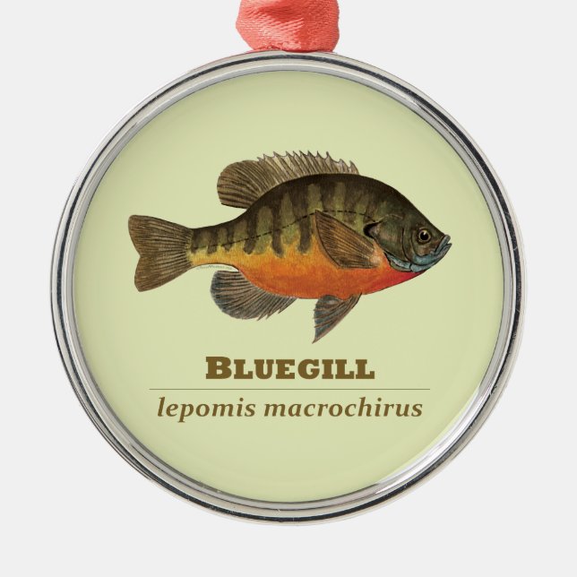 Bluegill Bream Fishing Julgransprydnad Metall (Framsidan)