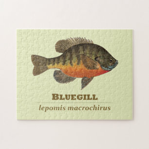 Bluegill Bream Fishing Pussel