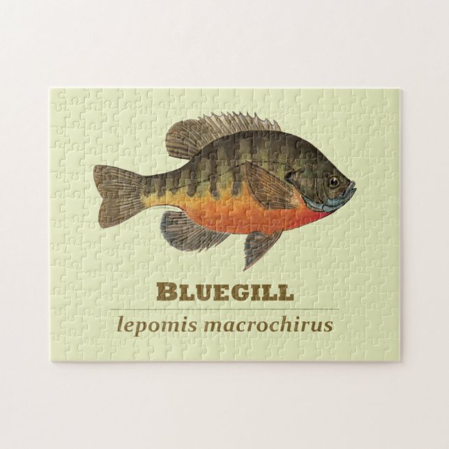Bluegill Bream Fishing Pussel (Horisontell)
