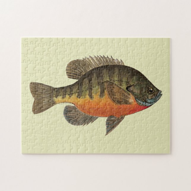 Bluegill Bream Pussel (Horisontell)