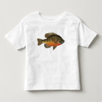 Bluegill Bream