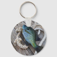 bluegill on dock