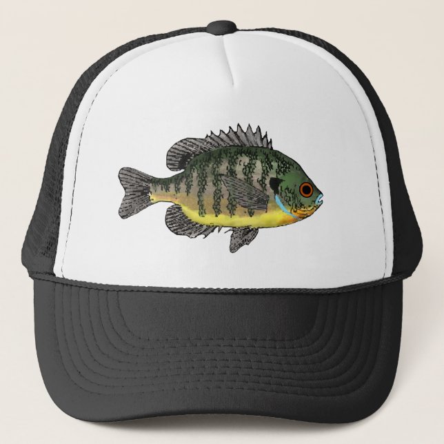 Bluegill Sunfish Keps (Framsida)