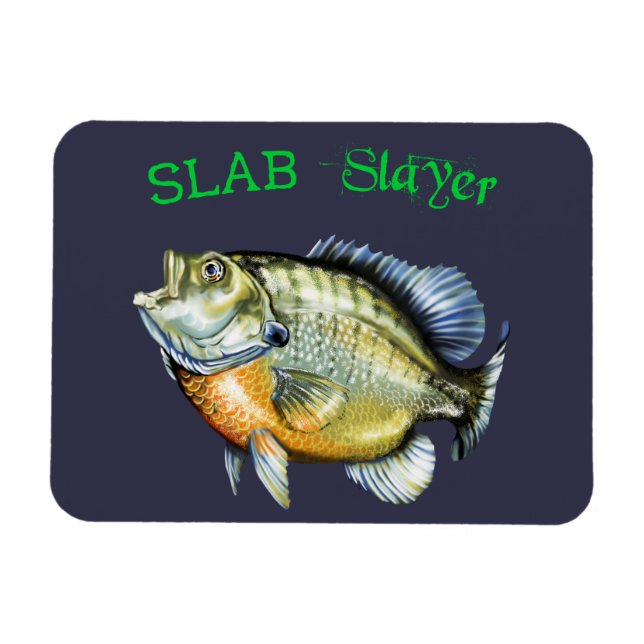Bluegill Sunfish Slab Sayer Magnet (Horisontell)
