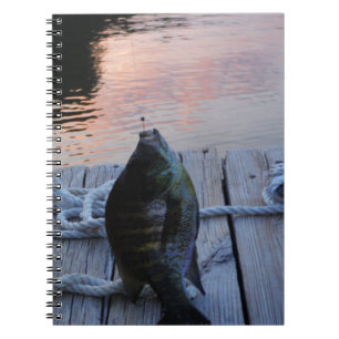 Bluegill vid sunset Sjö Arrowhad Anteckningsbok Med Spiral