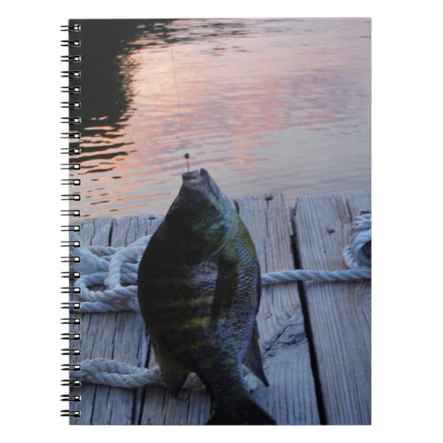 Bluegill vid sunset Sjö Arrowhad Anteckningsbok Med Spiral (Framsidan)