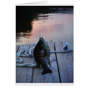 Bluegill vid sunset Sjö Arrowhad Hälsningskort