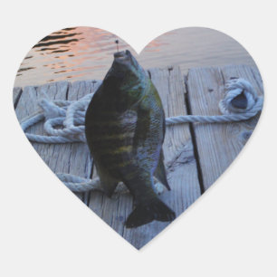 Bluegill vid sunset Sjö Arrowhad Hjärtformat Klistermärke