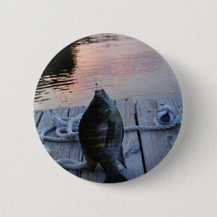 Bluegill vid sunset Sjö Arrowhad Knapp
