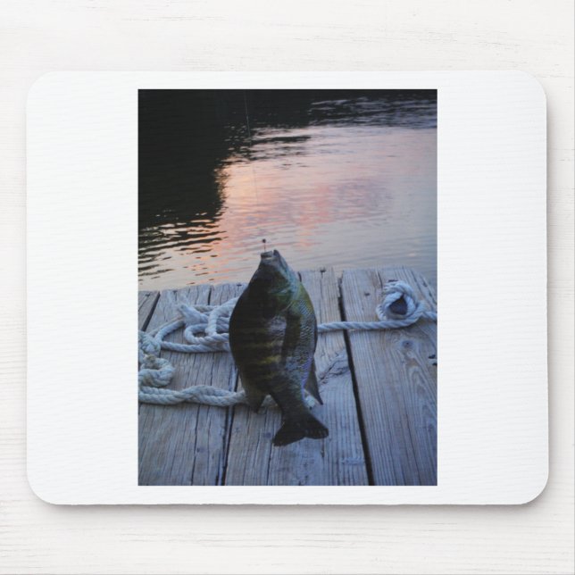 Bluegill vid sunset Sjö Arrowhad Musmatta (Framsidan)
