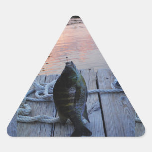 Bluegill vid sunset Sjö Arrowhad Triangelformat Klistermärke