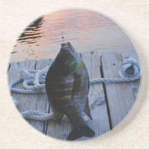 Bluegill vid sunset Sjö Arrowhad Underlägg Sandsten