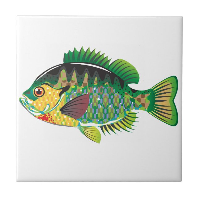 BluegillPanfishvektor Kakelplatta (Framsidan)