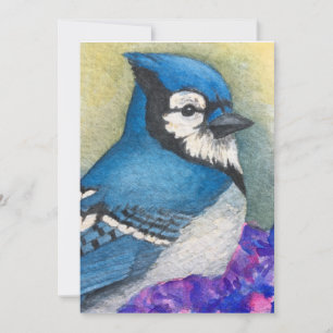 Bluejay Bird Tack, ditt kort Blue Jay Vänskap