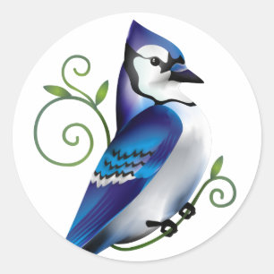 Bluejay Day Runt Klistermärke