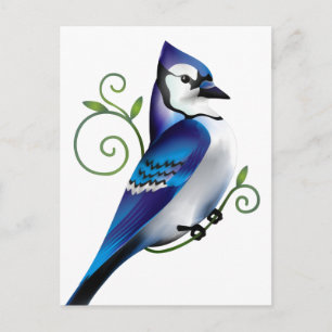 Bluejay Day Vykort