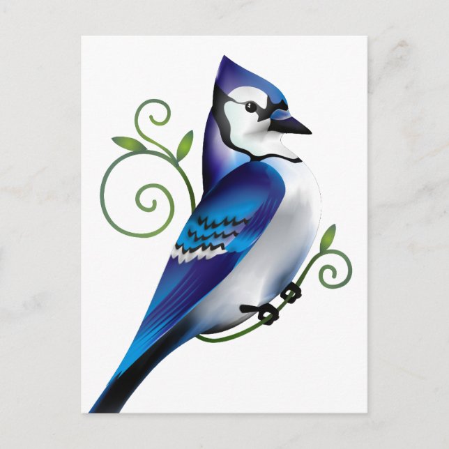 Bluejay Day Vykort (Framsida)