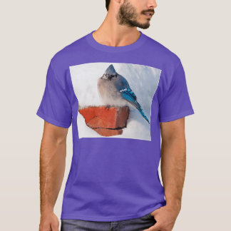 Bluejay i Snö-triblend T Shirt