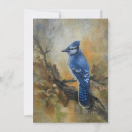 Bluejay "Jaybird" by Jason Street Tack Kort