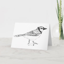 Bluejay Kort