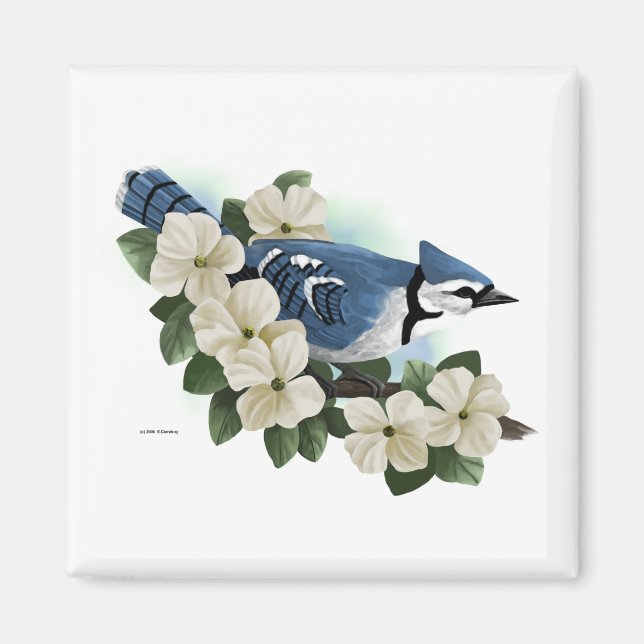 Bluejay Magnet (Framsidan)