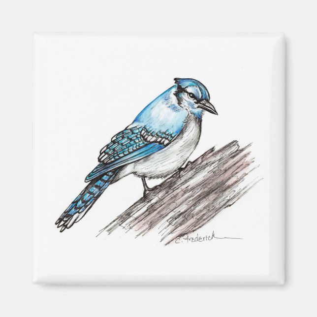 Bluejay Magnet (Framsidan)
