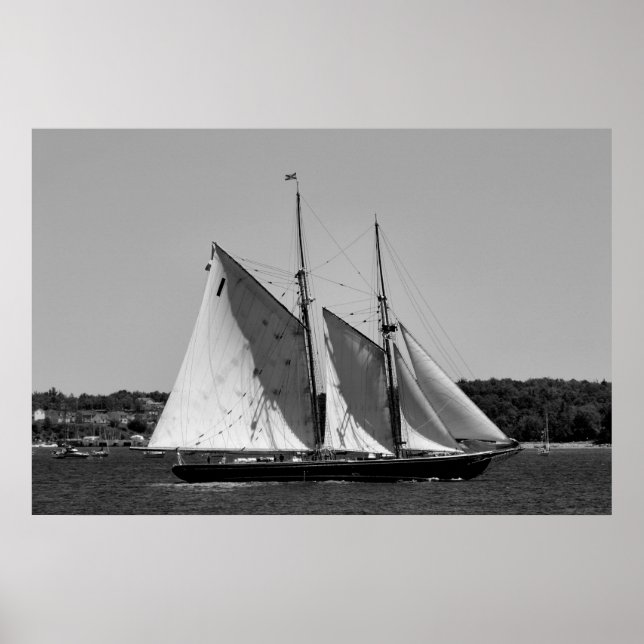 Bluenose II Black and White Poster (Framsidan)