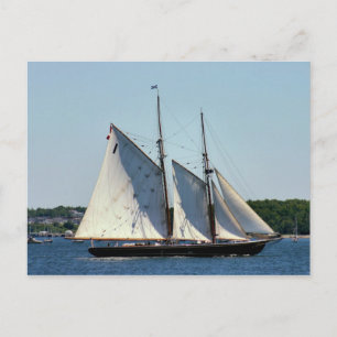 Bluenose II-vykort Vykort