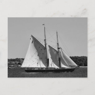 Bluenose II-vykort Vykort