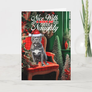 Bluenose Pitbull Hund Naughty eller Nice-jul Helgkort