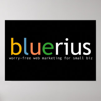 bluerius.com banderoll poster