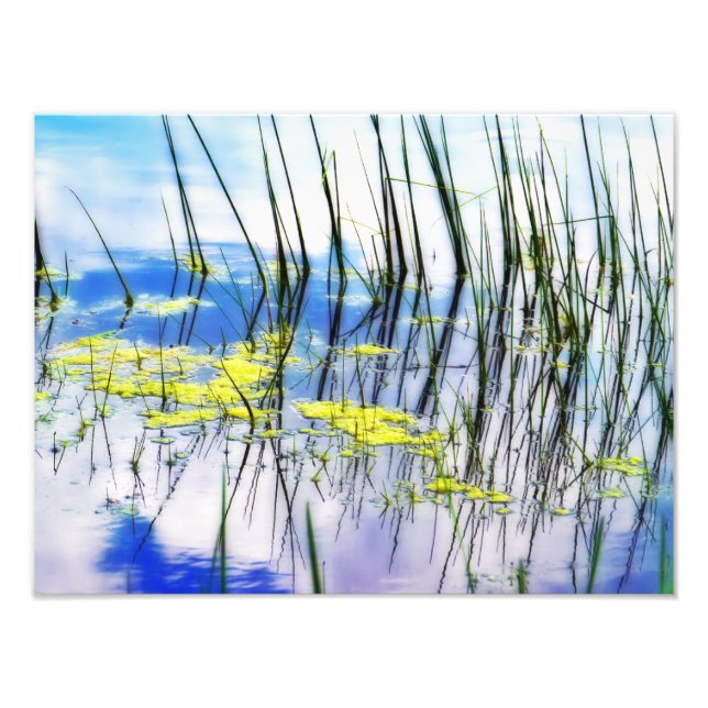 Blues and Grass Fototryck (Framsidan)