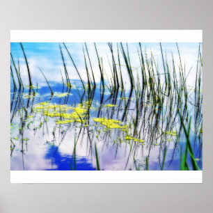 Blues and Grass Poster