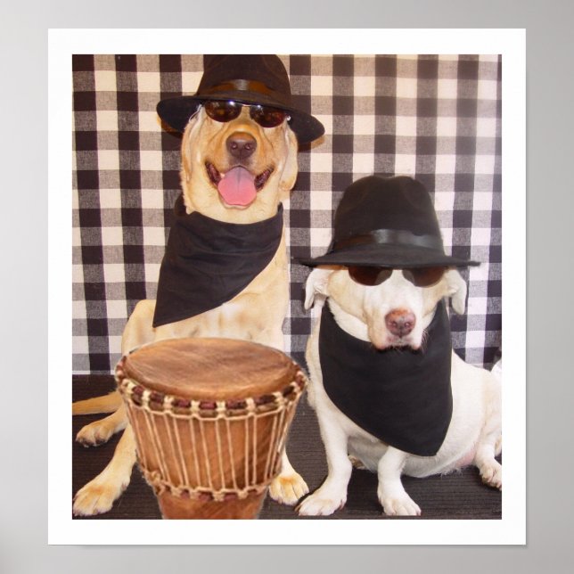 Blues Brothers Labs Poster (Framsidan)