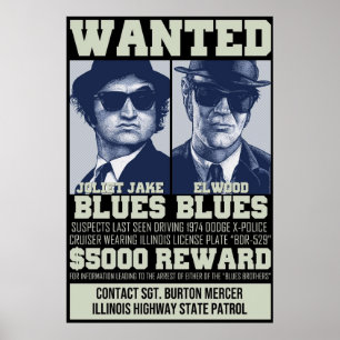 Blues Brothers ville Poster