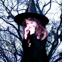 Blues Träd Shadows Forest Hues