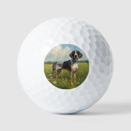 Bluetick Coonhound