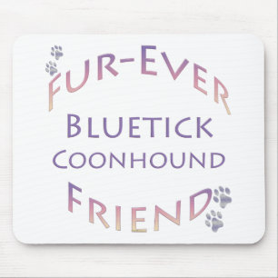 Bluetick Coonhound Furever Musmatta