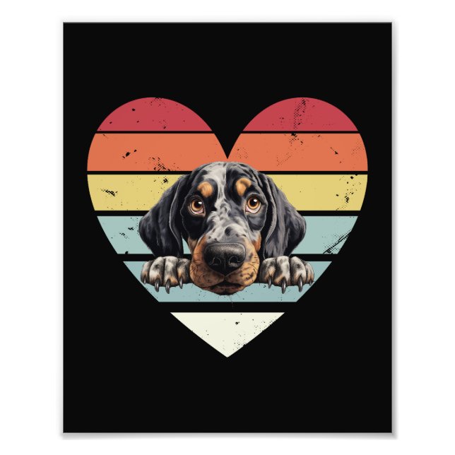 Bluetick Coonhound Hund Fototryck (Framsidan)
