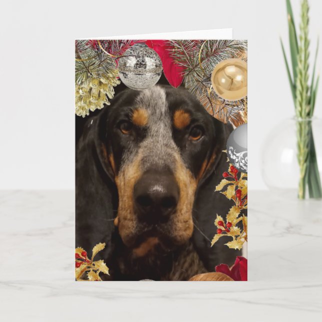 Bluetick Coonhound Hund/ Husdjur Julfoto Kort (Framsida)