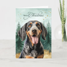 Bluetick Coonhound Hund och Vinter Skog