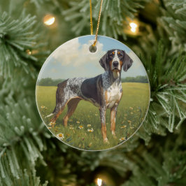 Bluetick Coonhound Julgransprydnad Keramik
