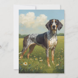 Bluetick Coonhound Kort